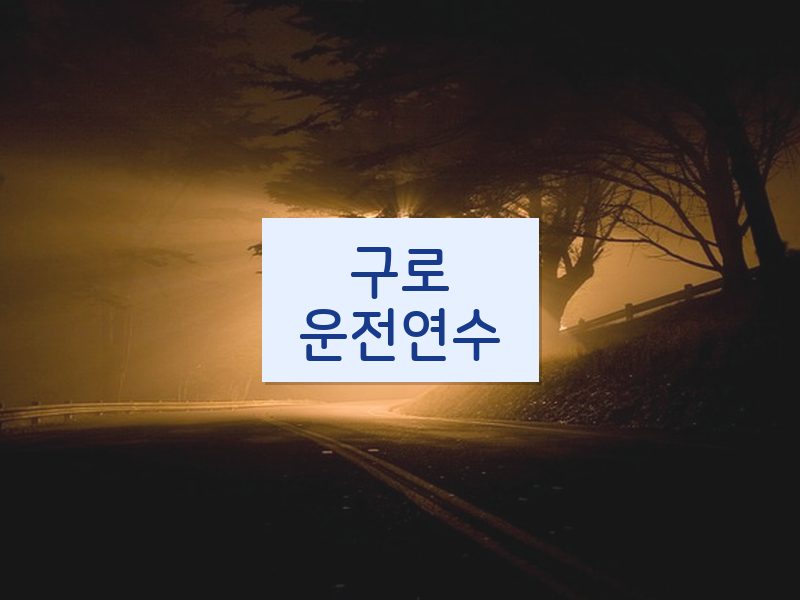 구로운전연수 후기