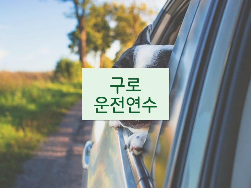 구로운전연수 후기